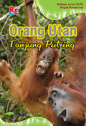 Orang Utan Tanjung Puting